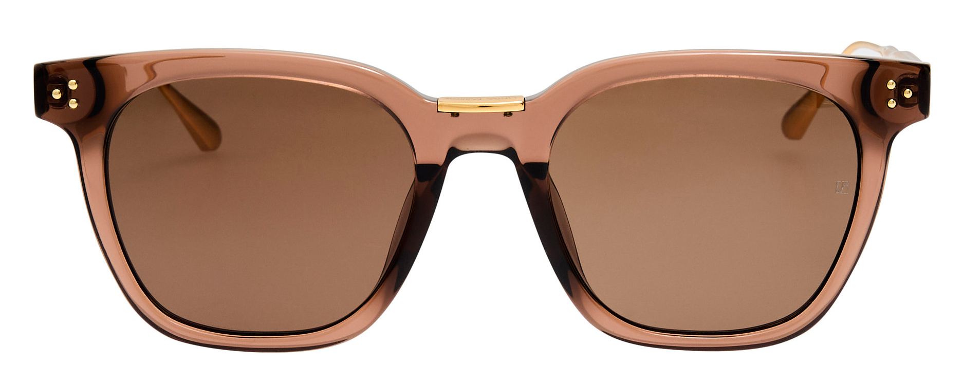 Color_LFL1508C8SUN - Evans D-Frame Sunglasses in Brown and Brown
