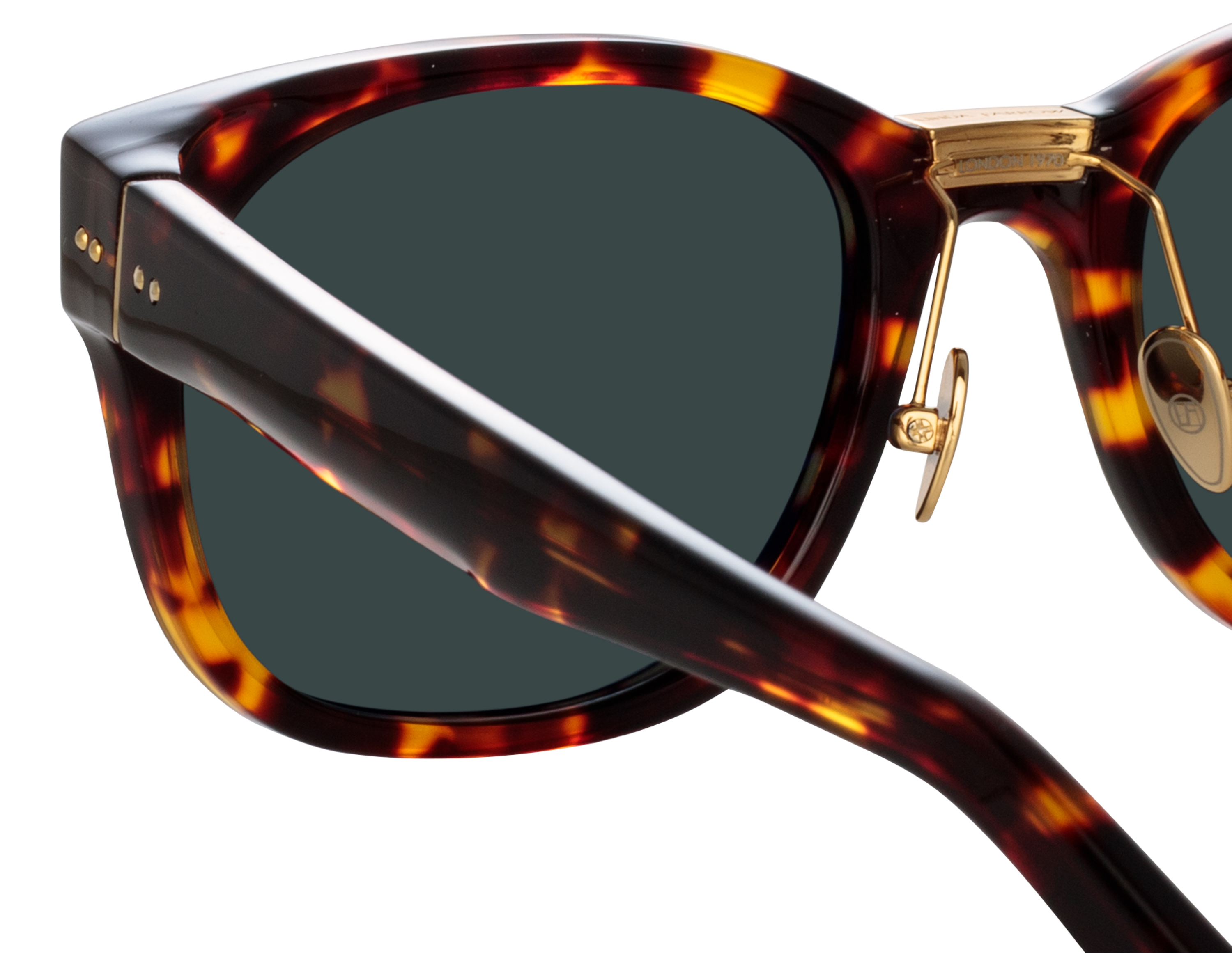 Color_LFL1275AC10SUN - Cedric D-Frame Sunglasses in Tortoise Shell and Deep Green