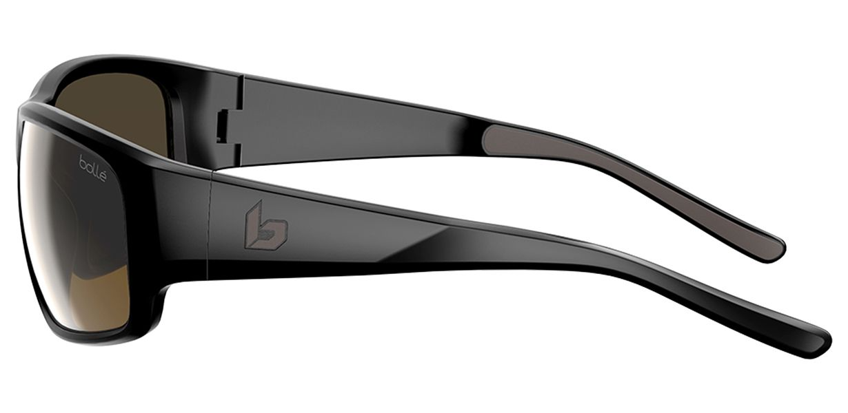 Color_BS064006 - Black Oak Shiny - Brown Polarized cat 3