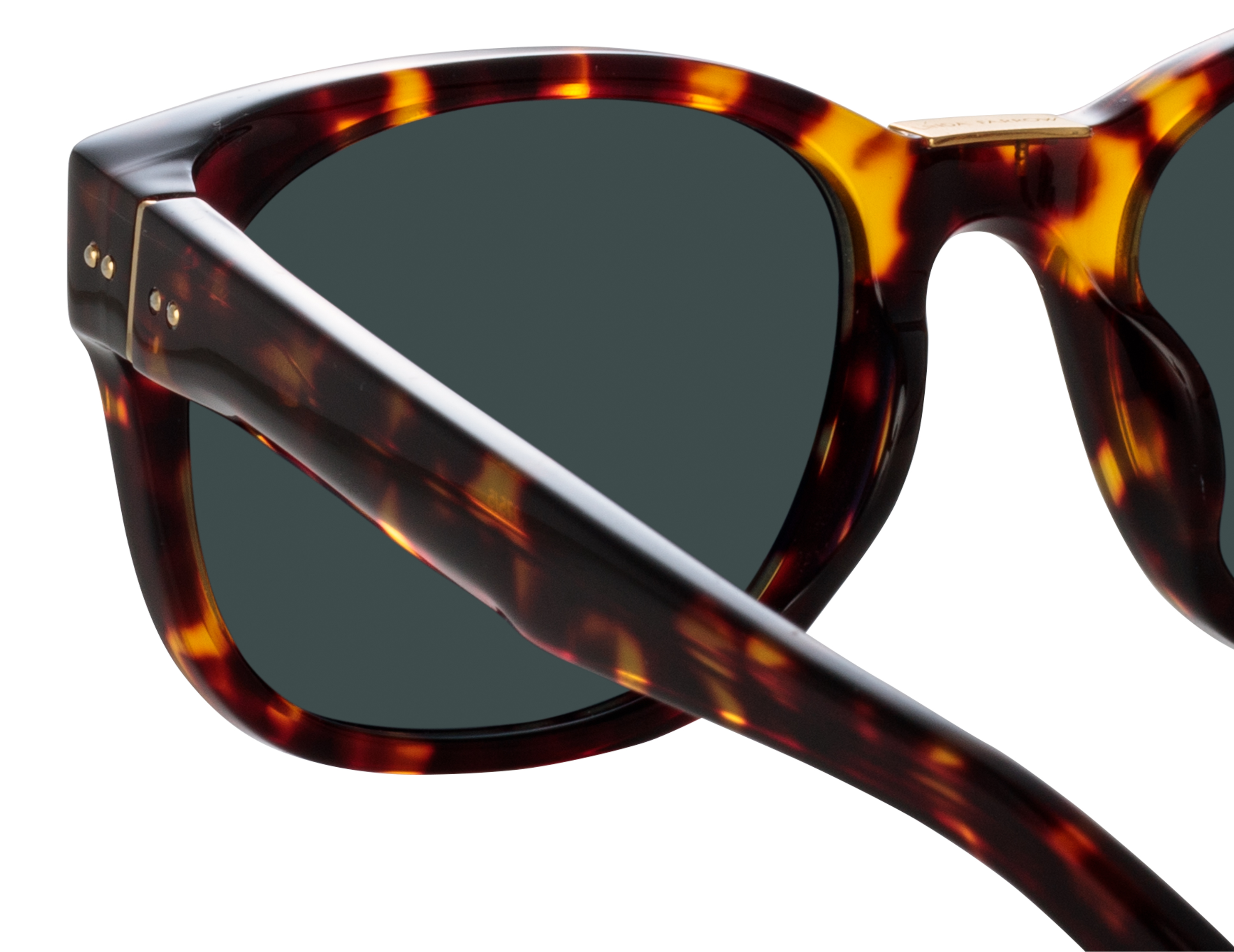 Color_LFL1275C5SUN - Cedric D-Frame Sunglasses in Tortoise Shell and Deep Green