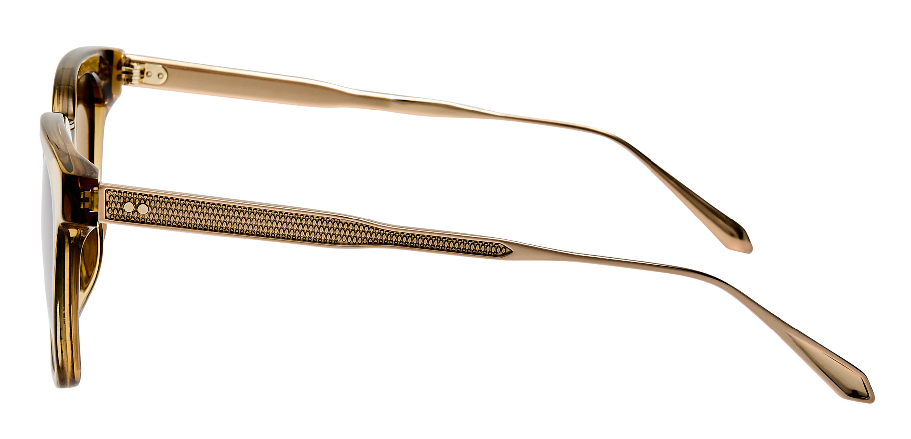 Color_LFL1508C6SUN - Evans D-Frame Sunglasses in Khaki and Khaki