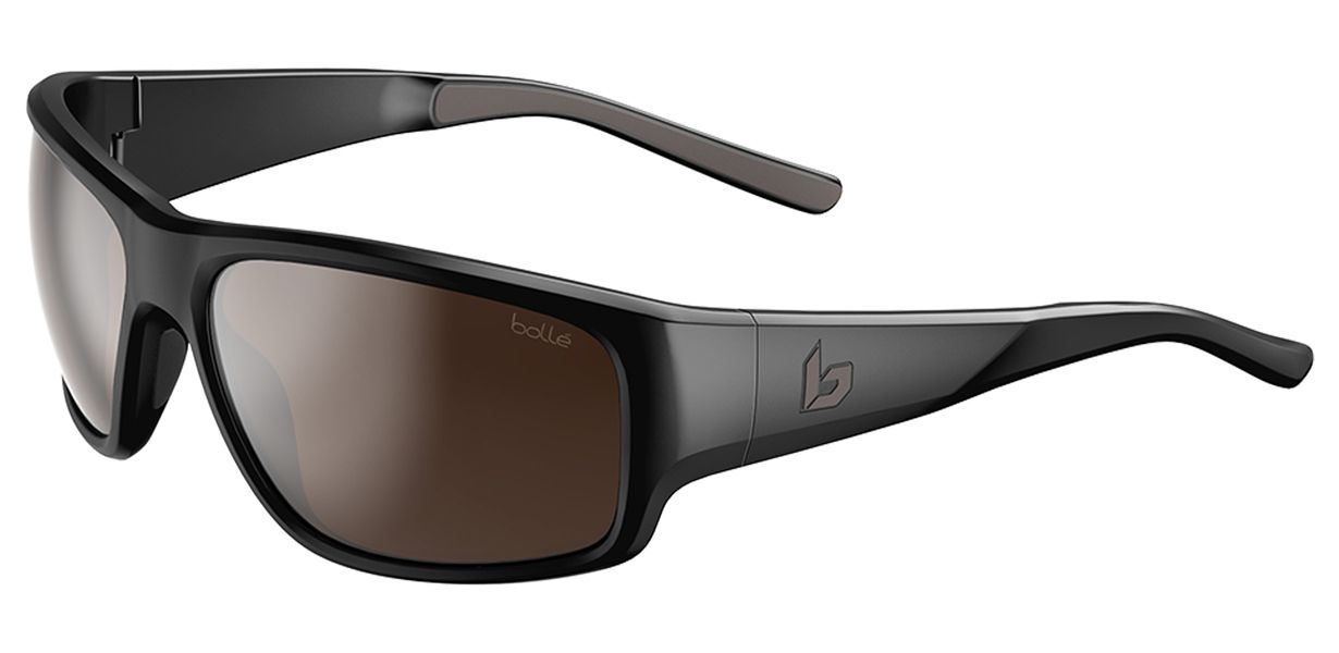 Color_BS064006 - Black Oak Shiny - Brown Polarized cat 3