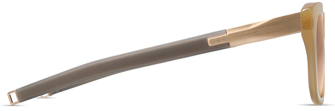 Color_DLS440-A-01 - Sand Storm - Brushed Gold Sand / Land Lens - Brown Polarized