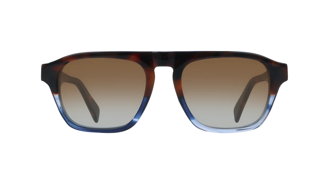 Color_215 - Havana - Striped Blue  / Brown Gradient