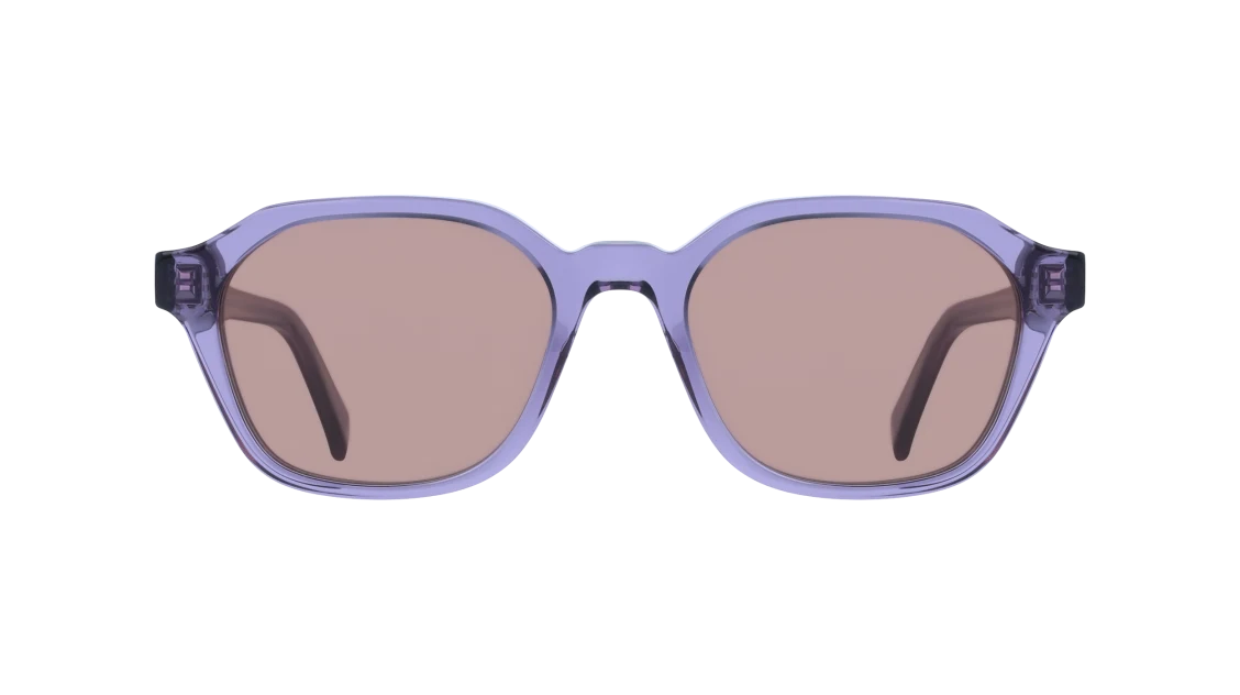Color_500 - Transparent Violet / Brown