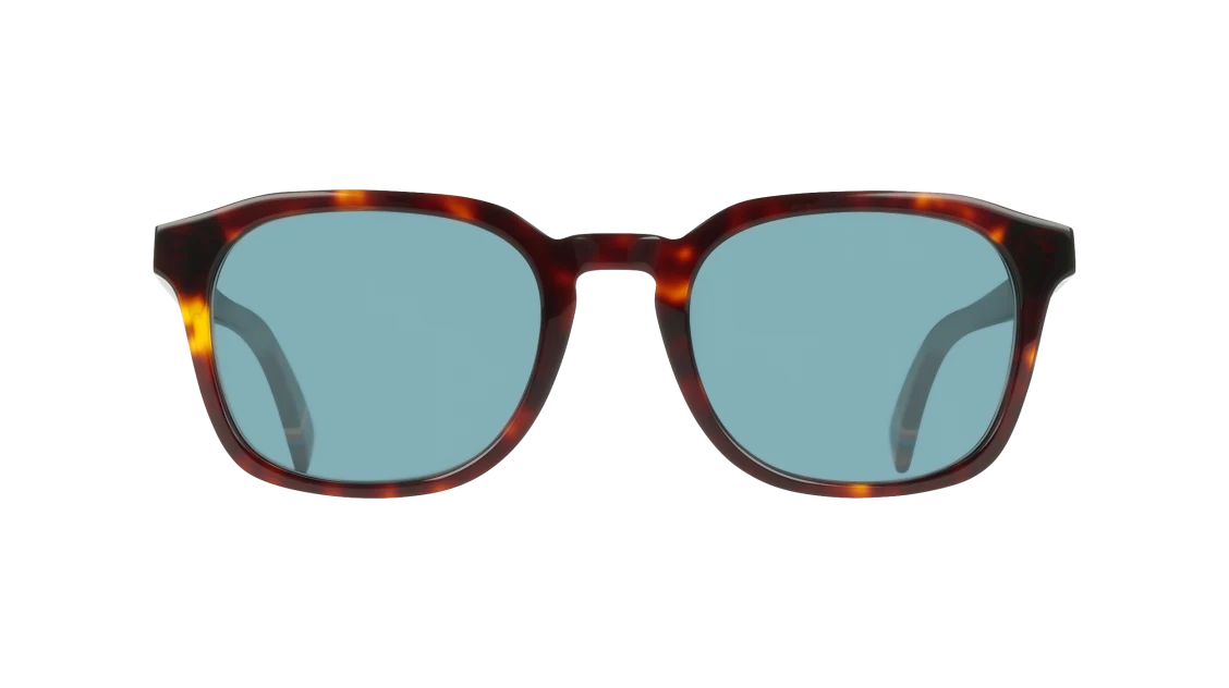 Color_230 - Dark Havana / Blue