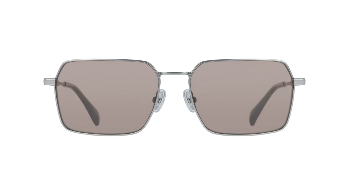 Color_020 - Matte Silver / Brown