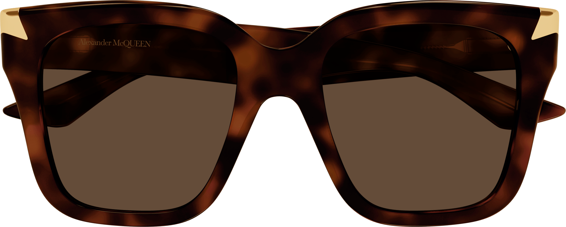 Color_AM0440S-003 - HAVANA - BROWN