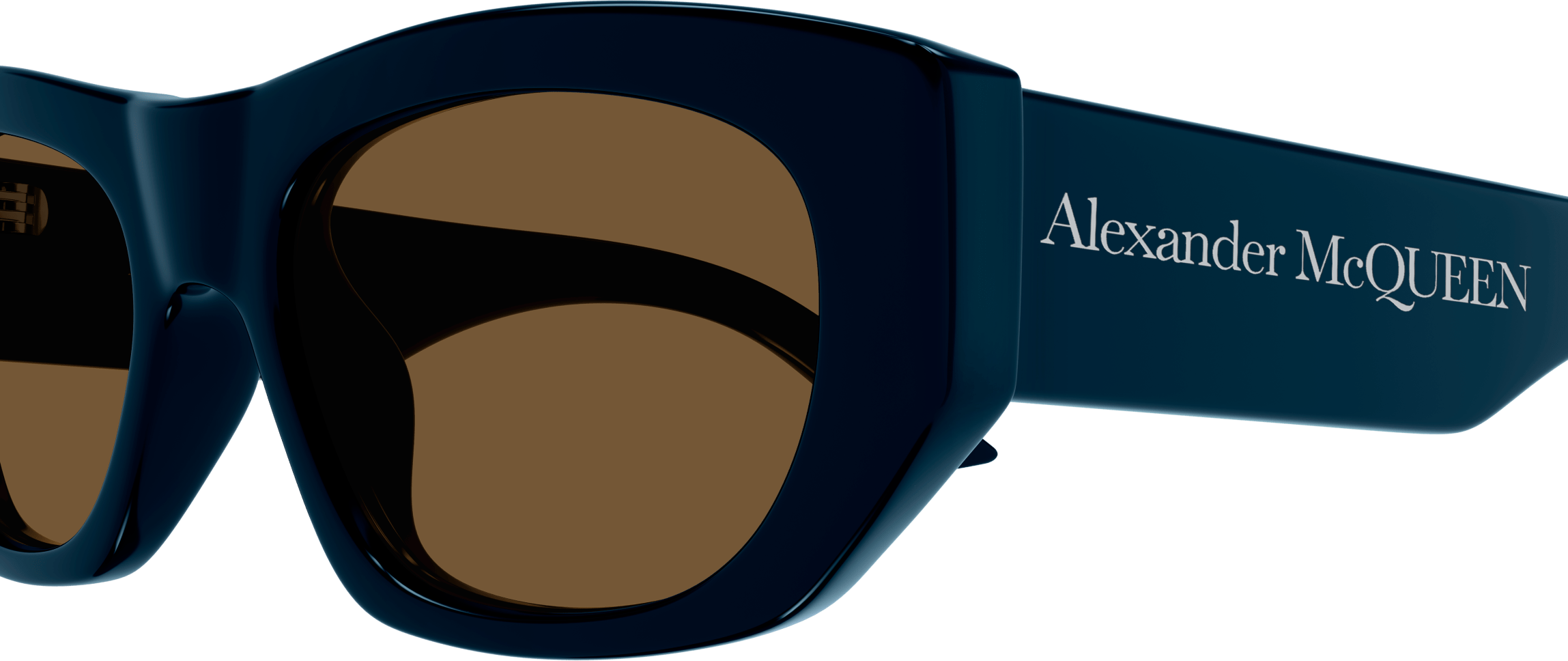 Color_AM0450S-003 - BLUE - BROWN