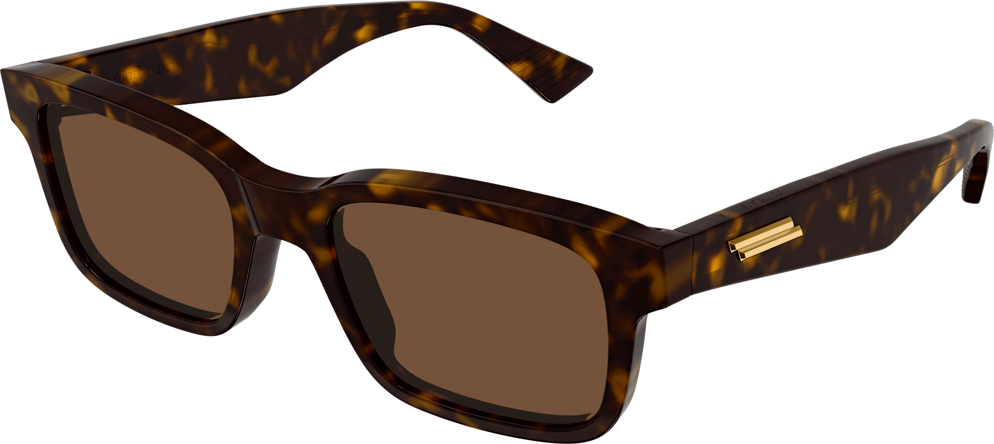 Color_BV1146S-002 - HAVANA - BROWN