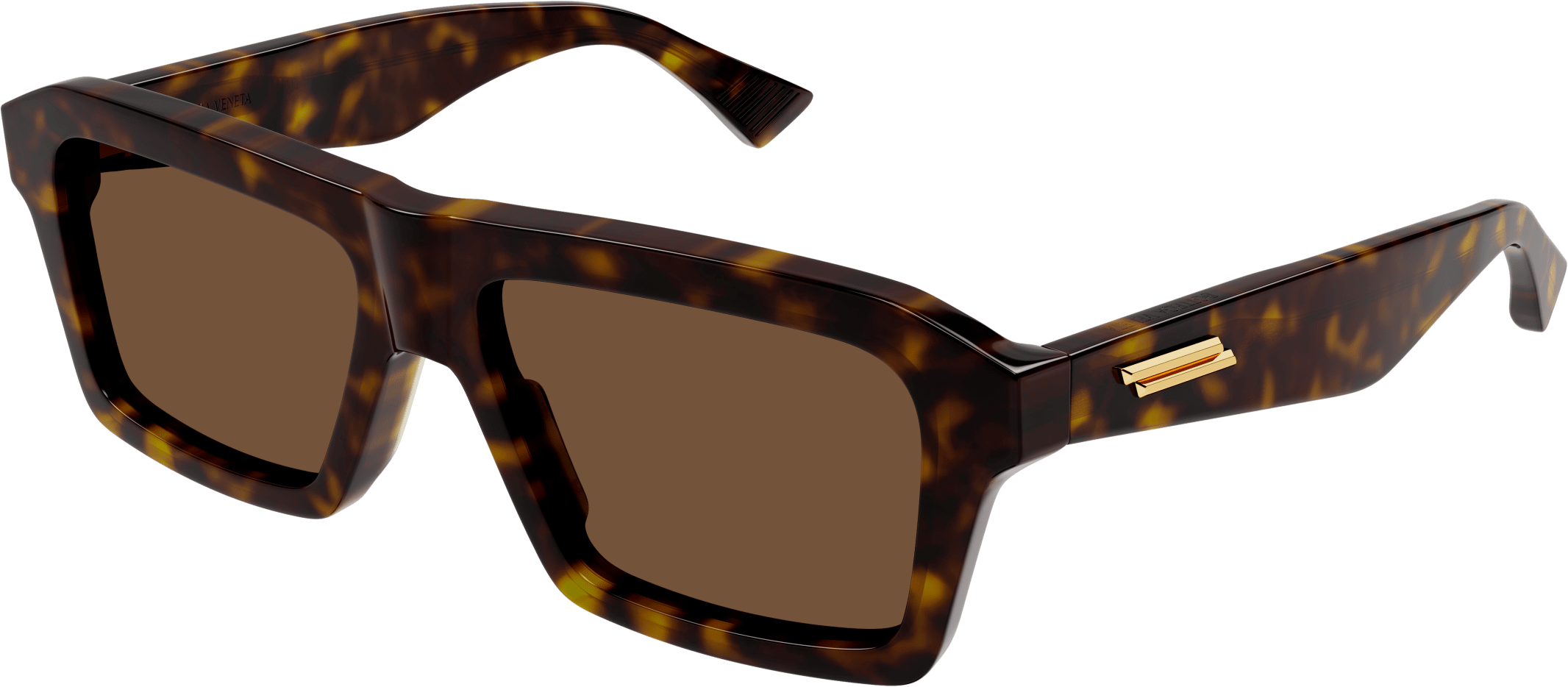 Color_BV1213S-002 - HAVANA - BROWN