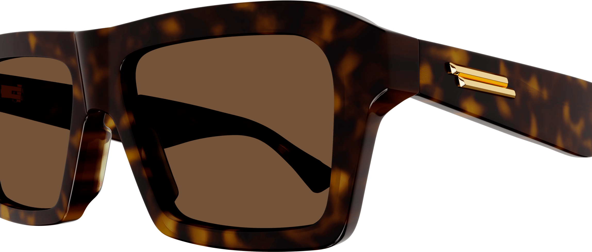 Color_BV1213S-002 - HAVANA - BROWN