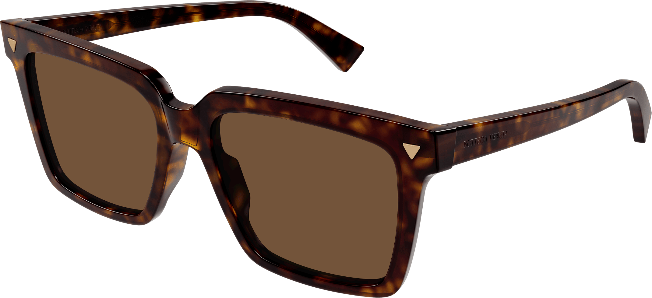 Color_BV1254S-002 - HAVANA - BROWN