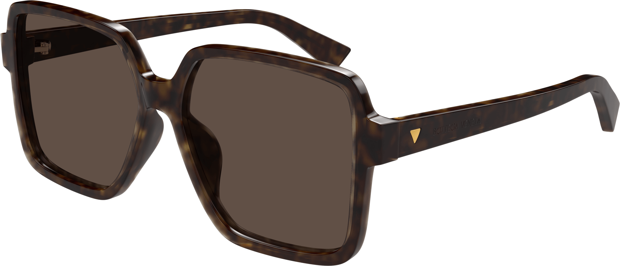 Color_BV1317SK-002 - HAVANA - BROWN