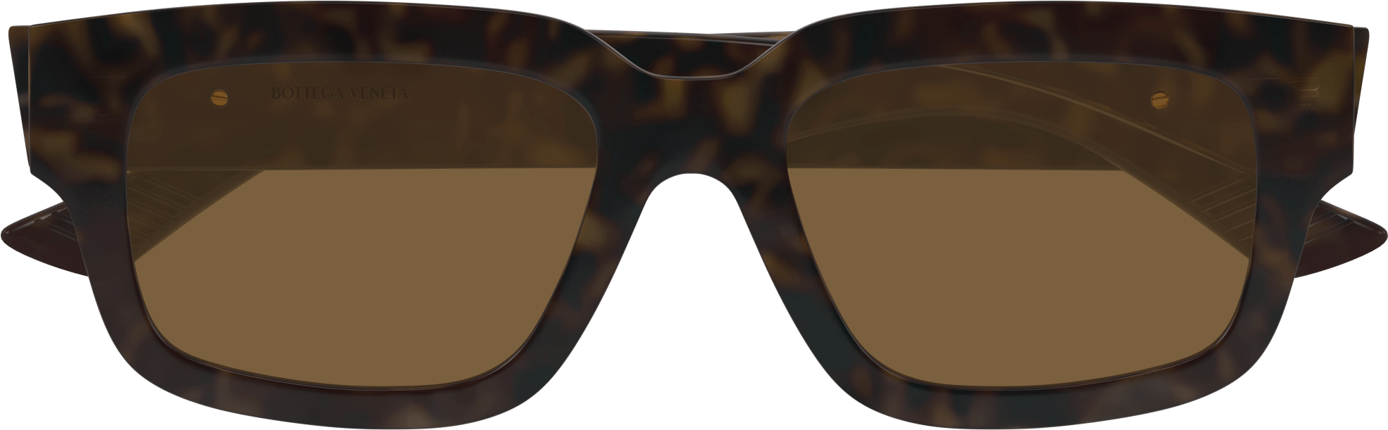 Color_BV1359SA-002 - HAVANA - BROWN