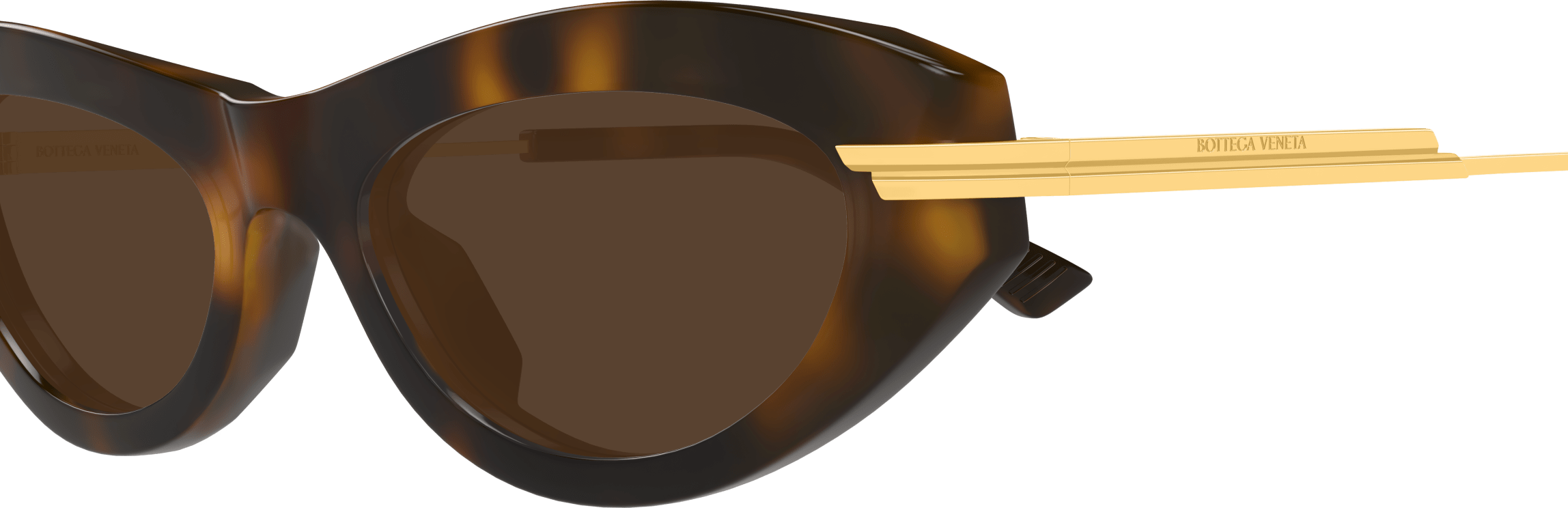 Color_BV1368S-002 - HAVANA - BROWN