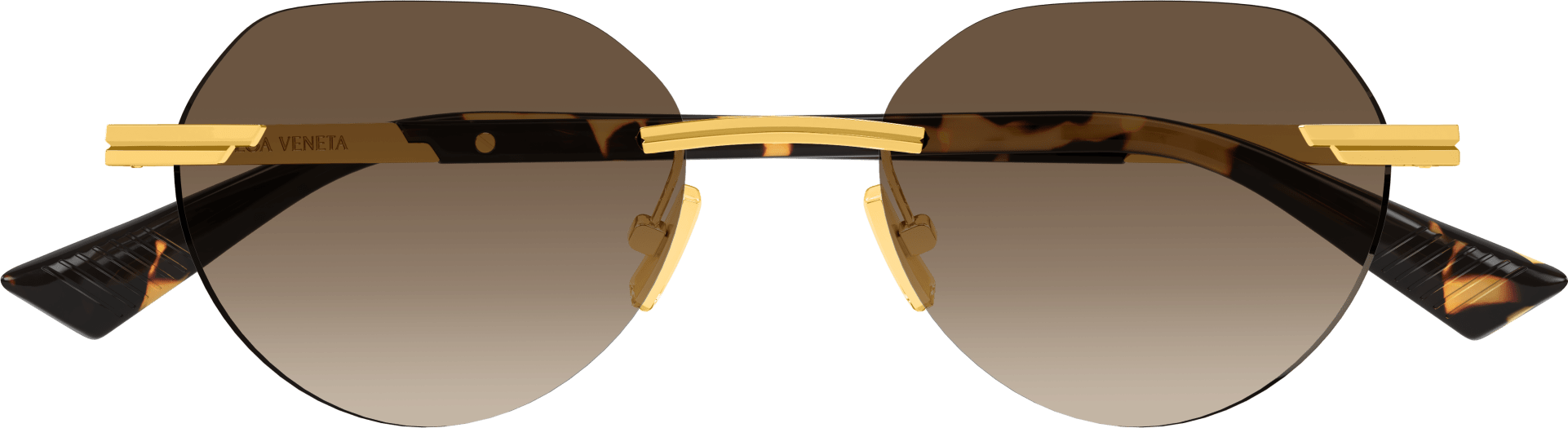 Color_BV1379S-003 - GOLD - BROWN