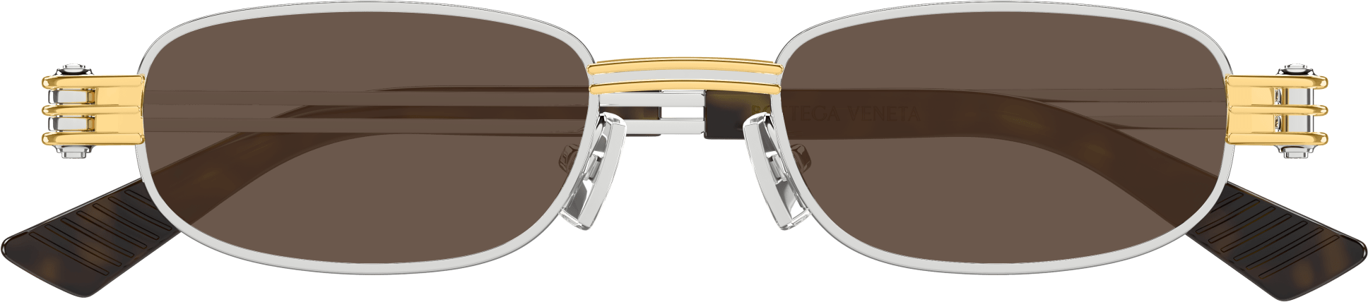 Color_BV1381S-001 - SILVER - BROWN