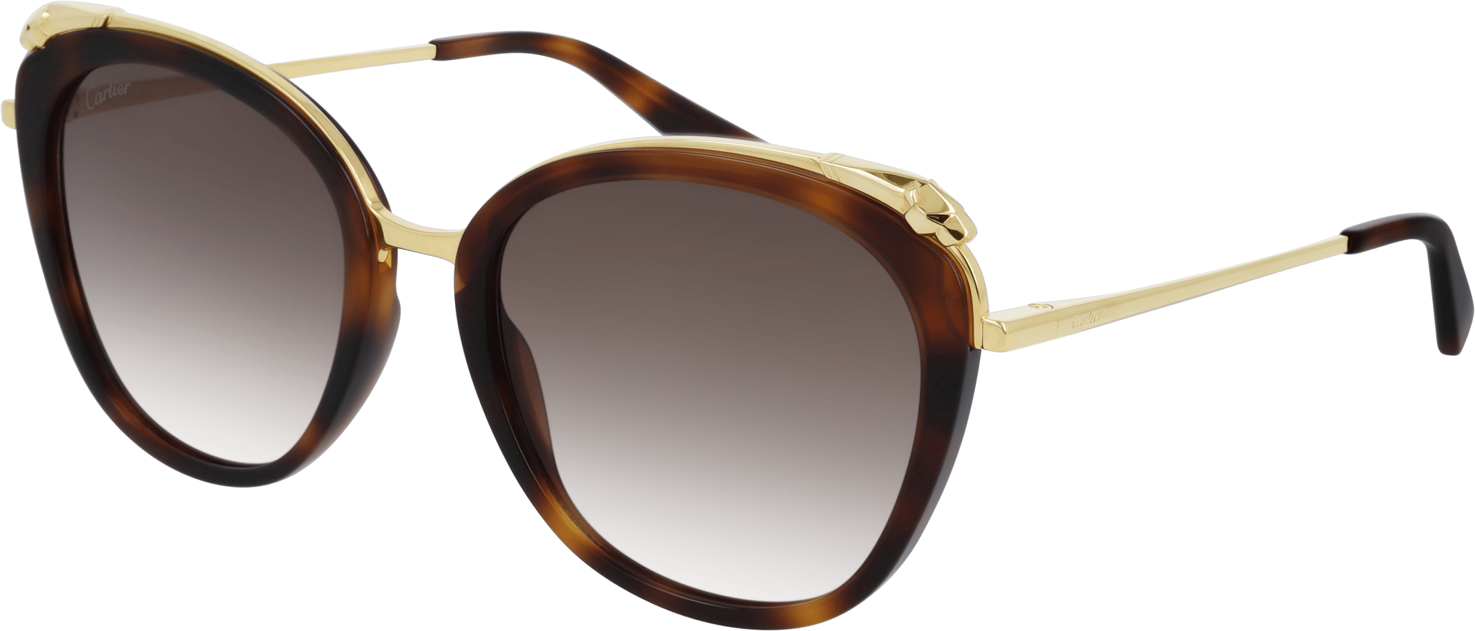 Color_CT0150S-002 - HAVANA - BROWN