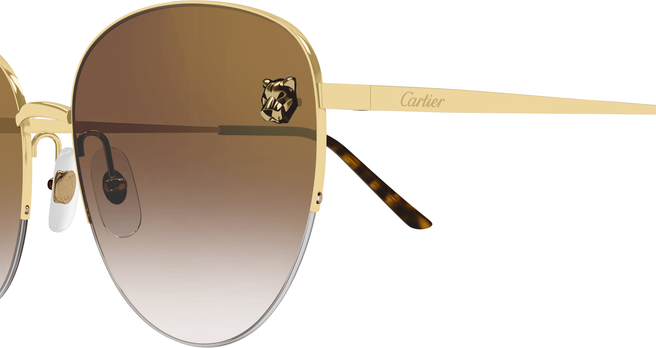 Color_CT0301S-002 - GOLD - BROWN