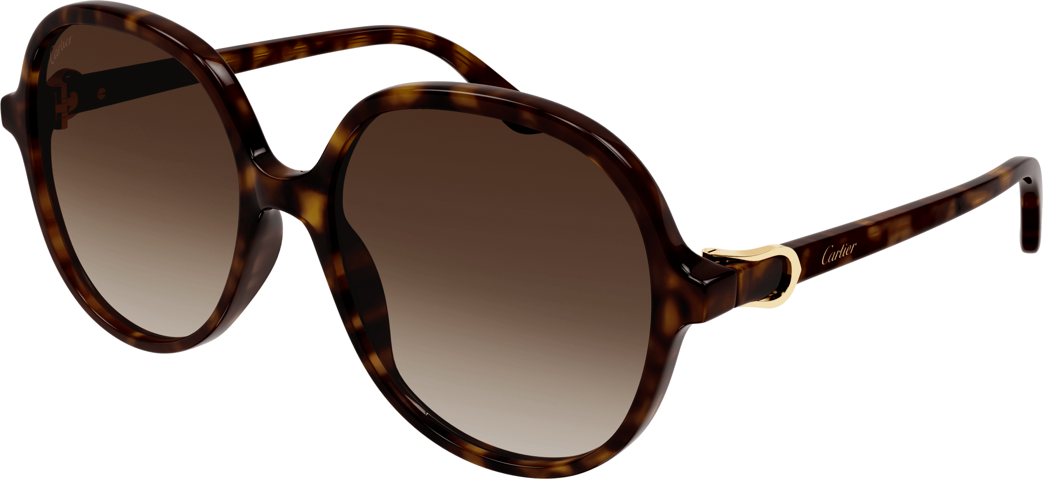 Color_CT0350S-002 - HAVANA - BROWN