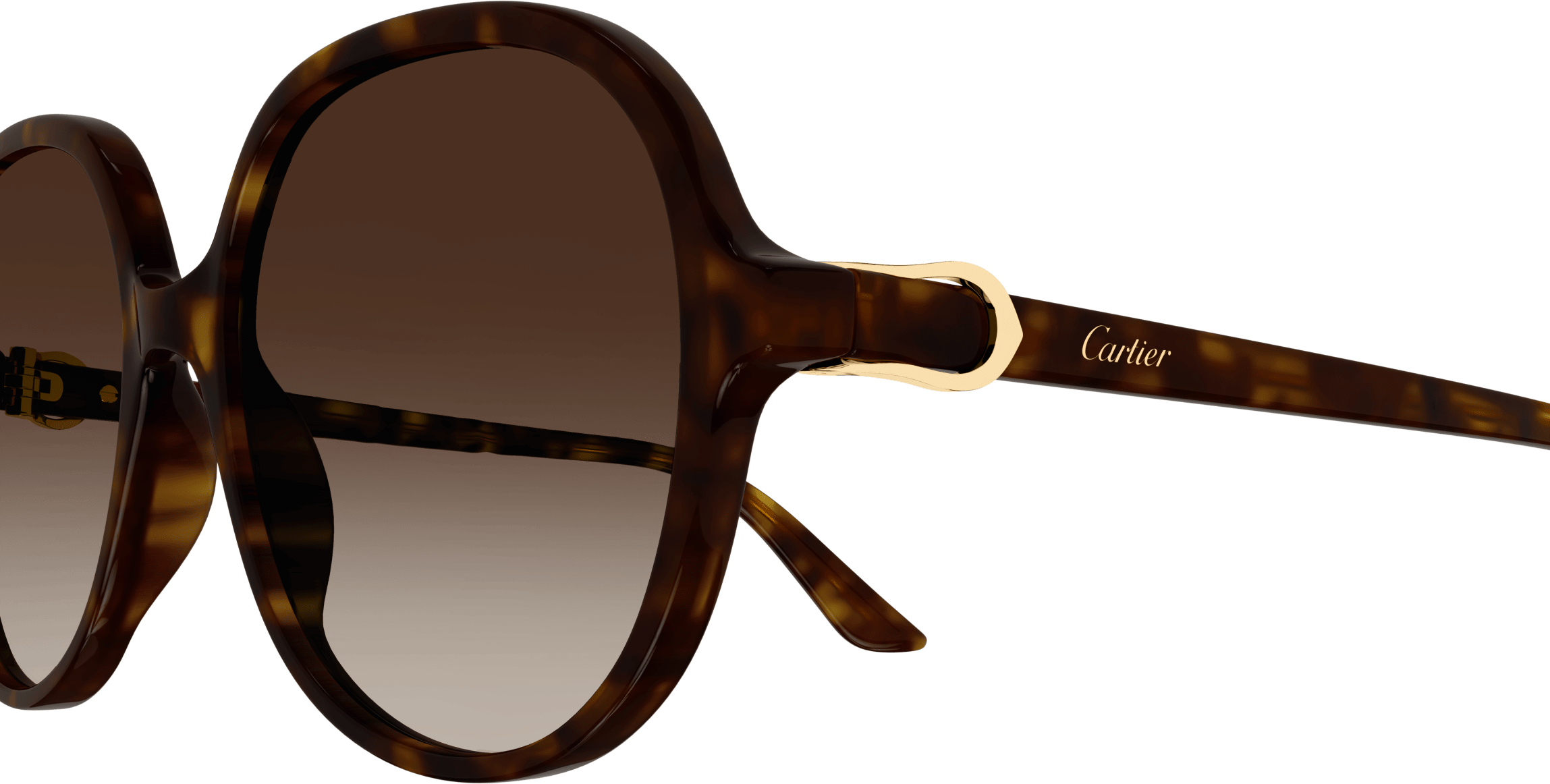 Color_CT0350S-002 - HAVANA - BROWN