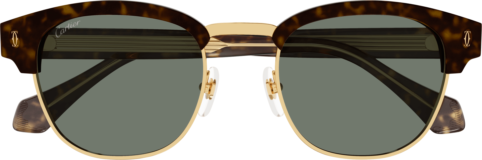 Color_CT0366S-002 - HAVANA - GREEN