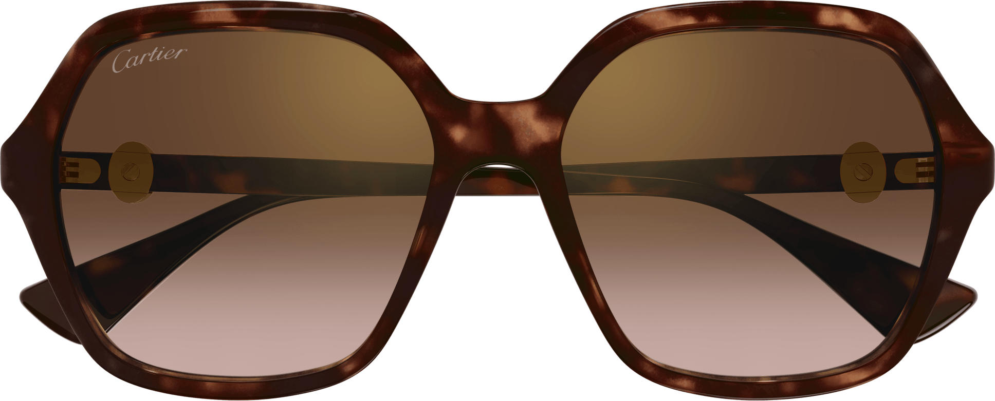 Color_CT0470S-002 - HAVANA - BROWN