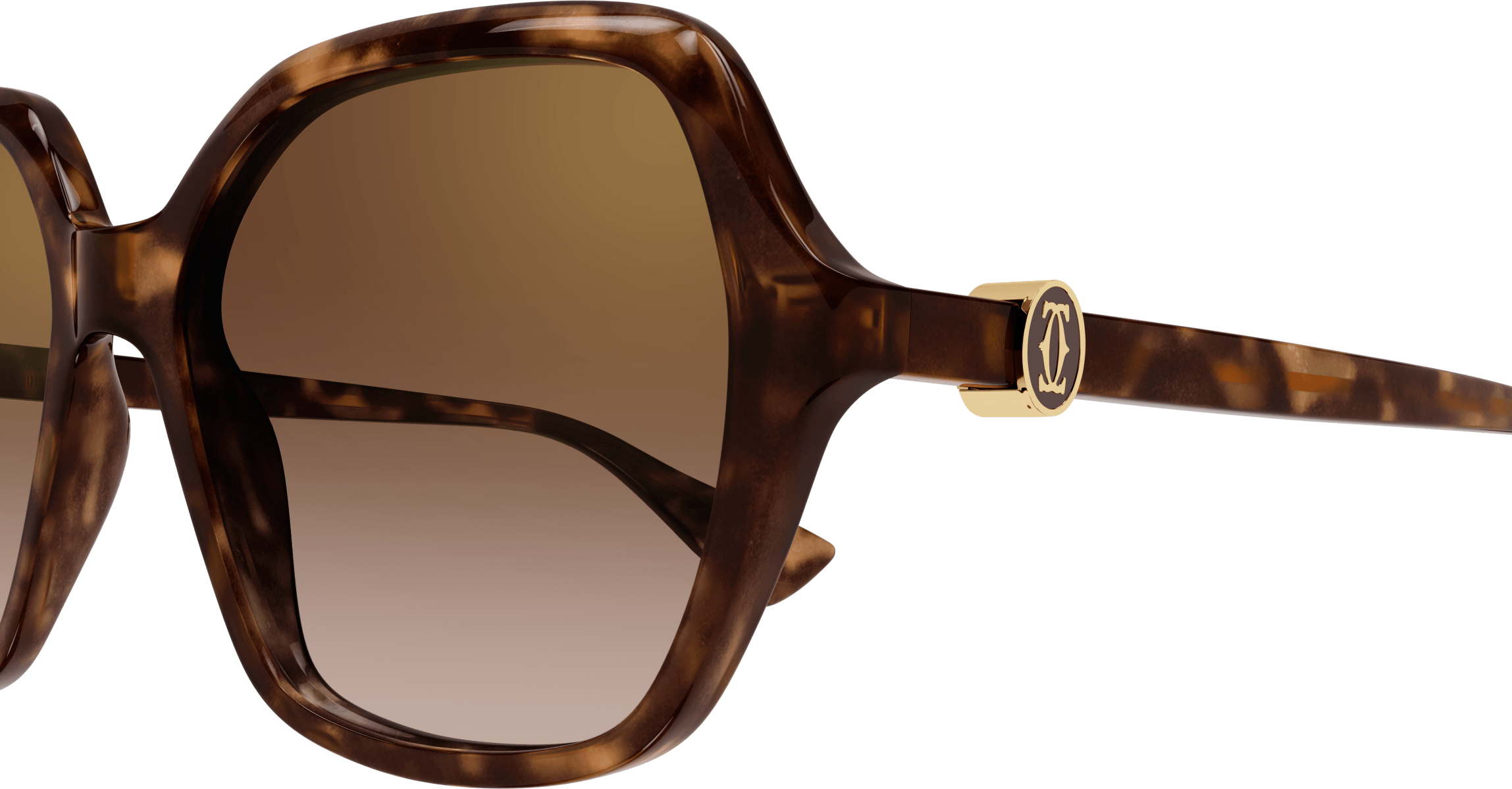 Color_CT0470S-002 - HAVANA - BROWN