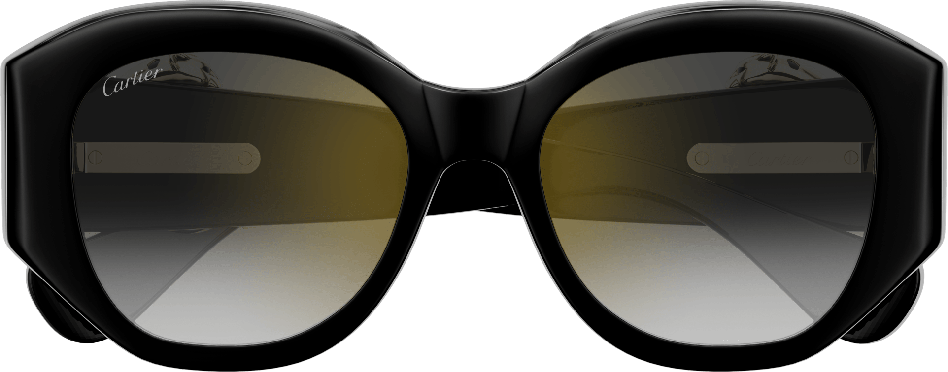 Color_CT0502S-001 - BLACK - GREY