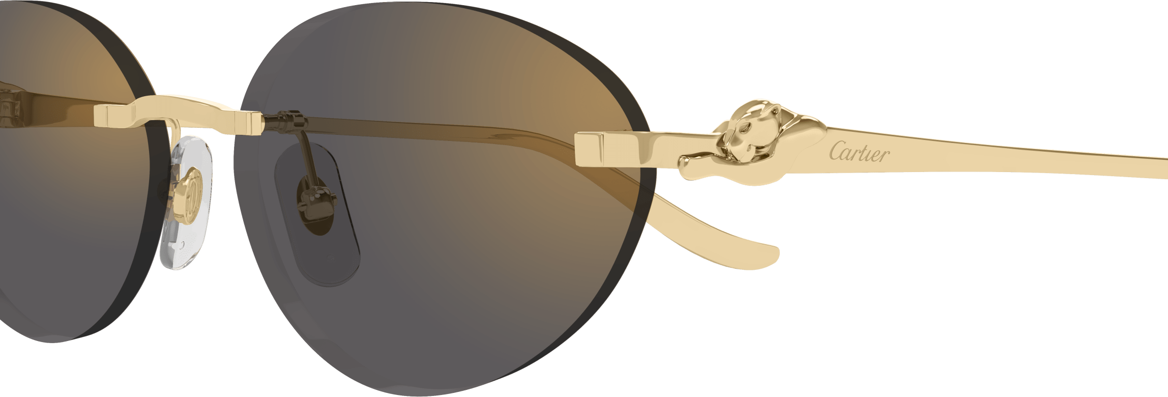 Color_CT0504S-001 - GOLD - GREY