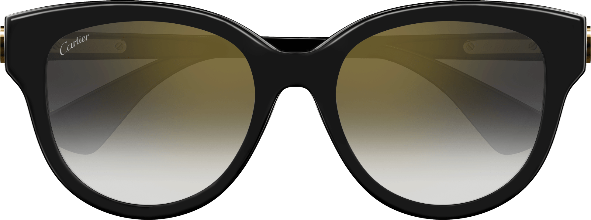 Color_CT0506S-001 - BLACK - GREY