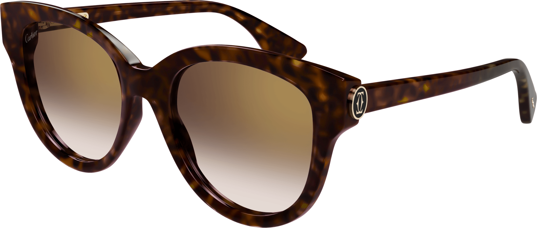 Color_CT0506S-002 - HAVANA - BROWN