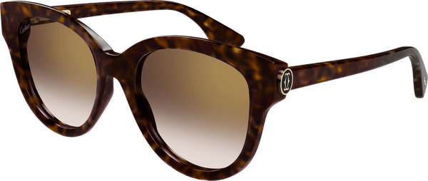 Color_CT0506S-002 - HAVANA - BROWN