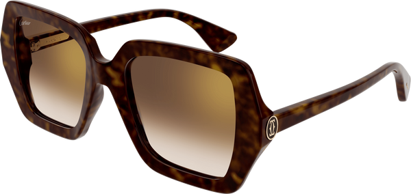 Color_CT0507S-002 - HAVANA - BROWN