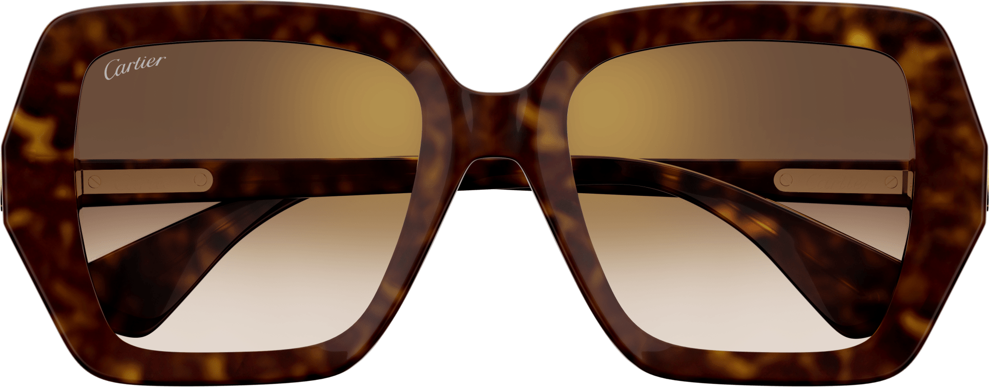 Color_CT0507S-002 - HAVANA - BROWN