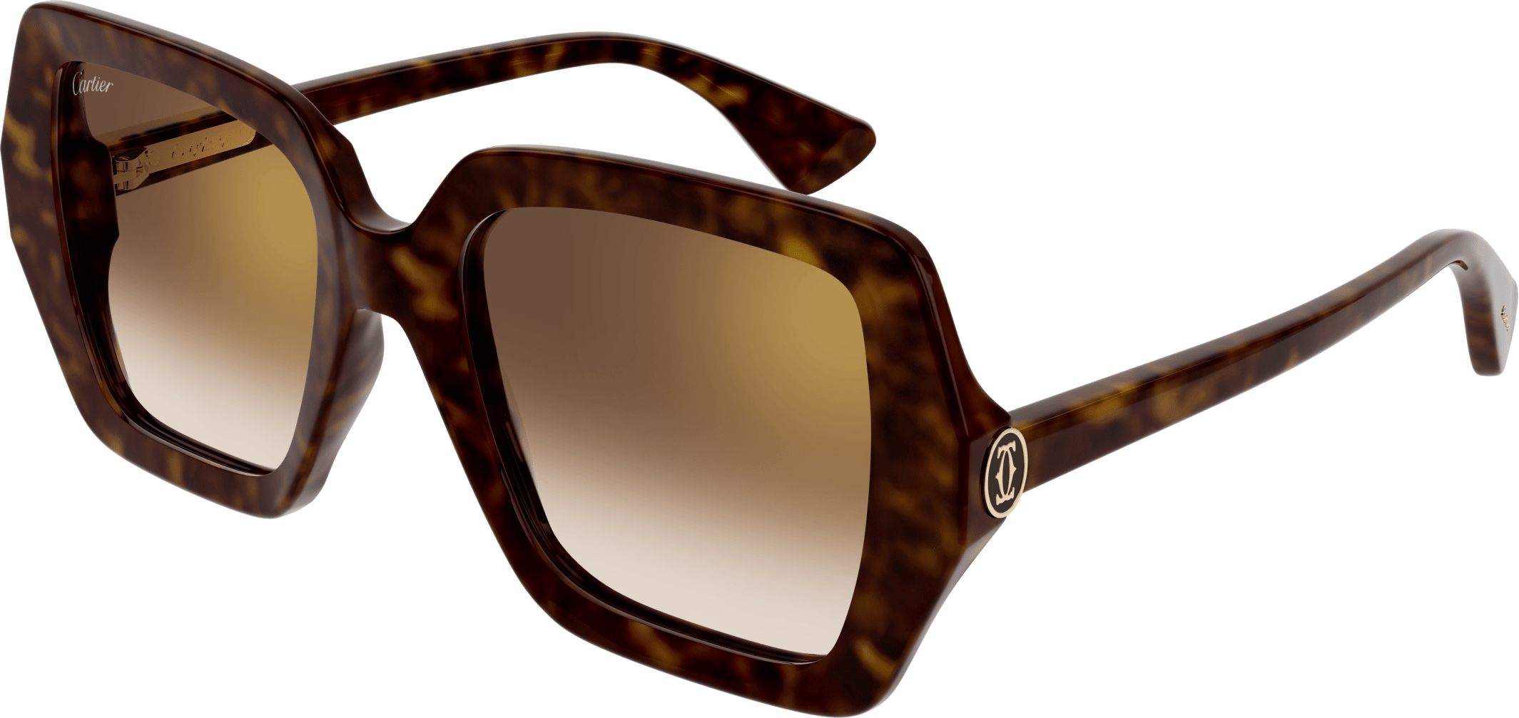 Color_CT0507S-002 - HAVANA - BROWN