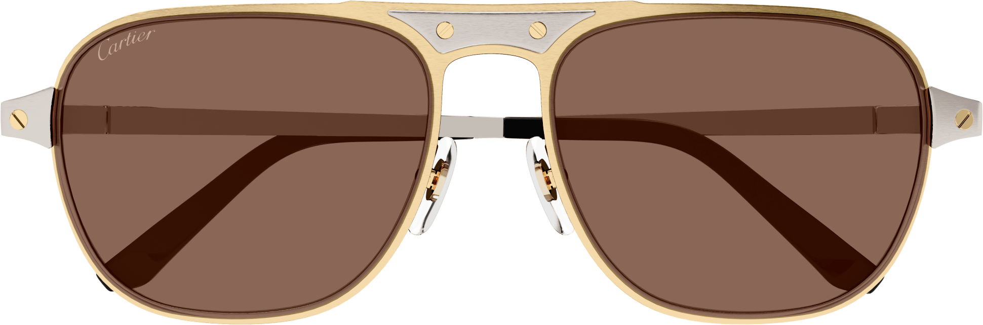 Color_CT0532S-004 - GOLD - BROWN