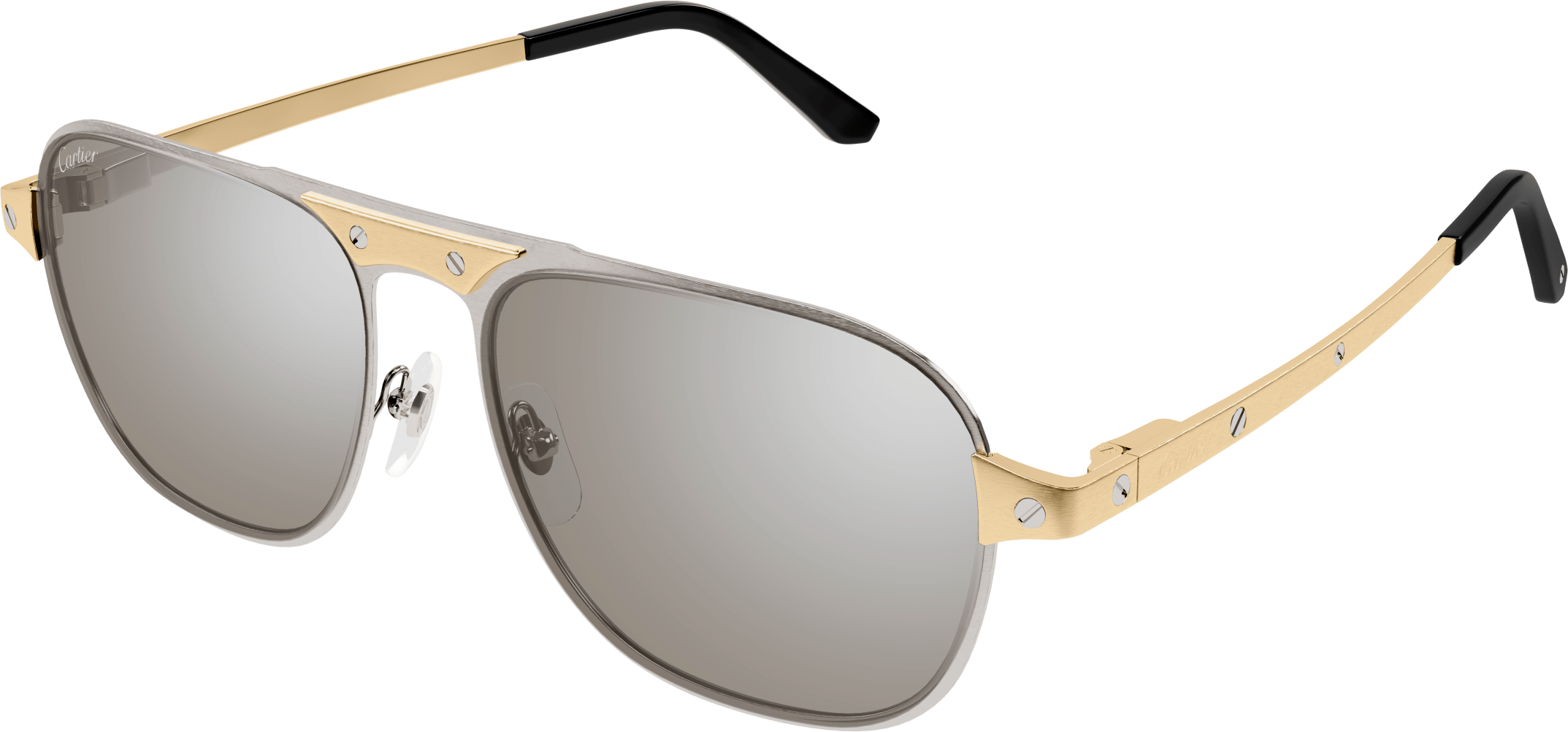 Color_CT0532S-005 - SILVER - SILVER