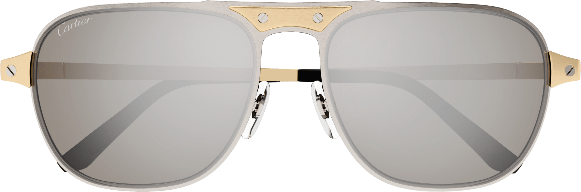 Color_CT0532S-005 - SILVER - SILVER