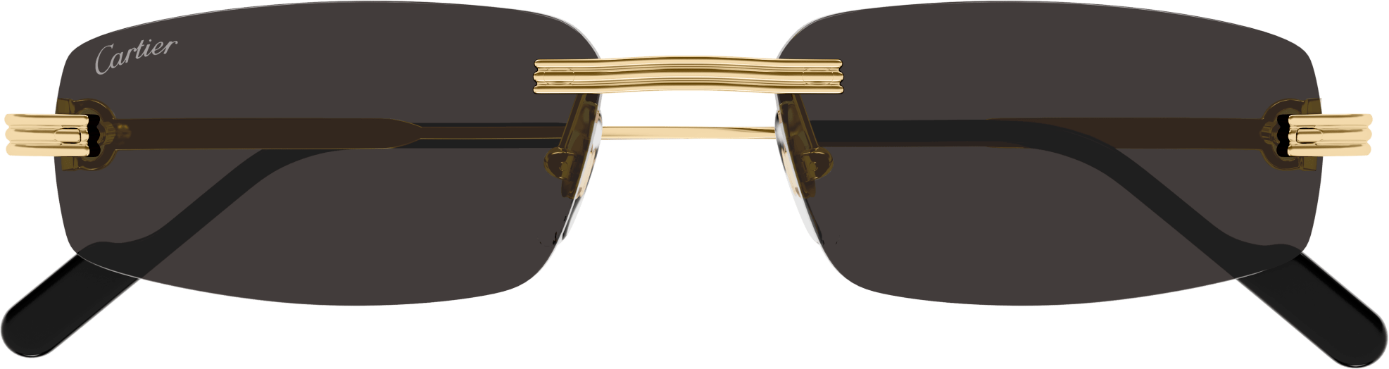 Color_CT0535S-001 - GOLD - GREY