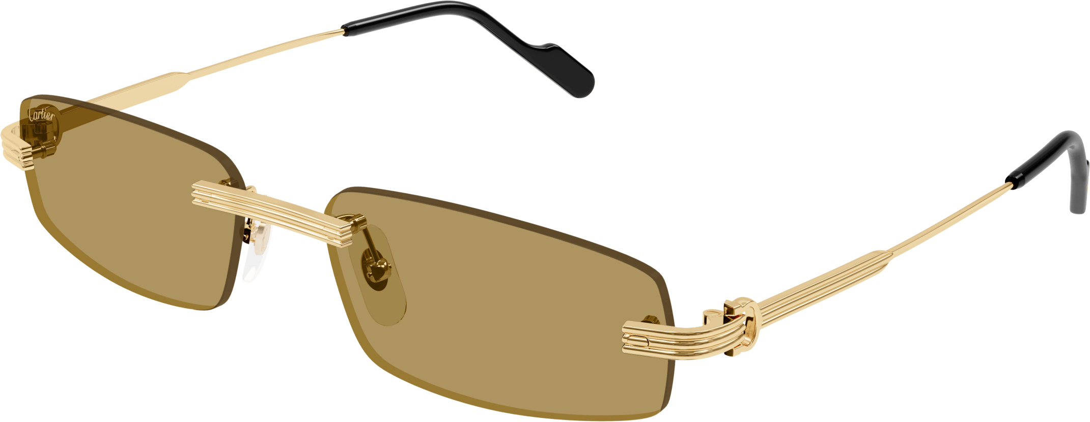 Color_CT0535S-003 - GOLD - BROWN