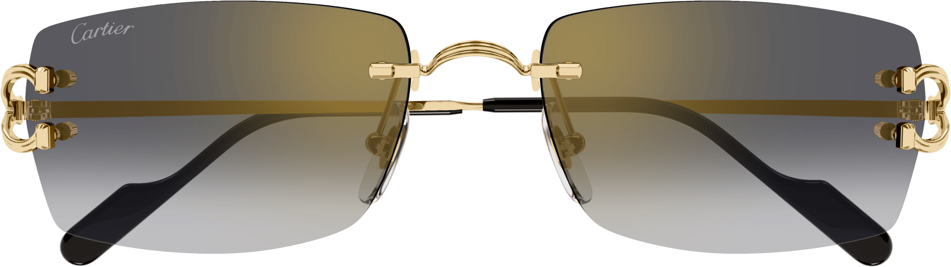 Color_CT0550S-001 - GOLD - GREY