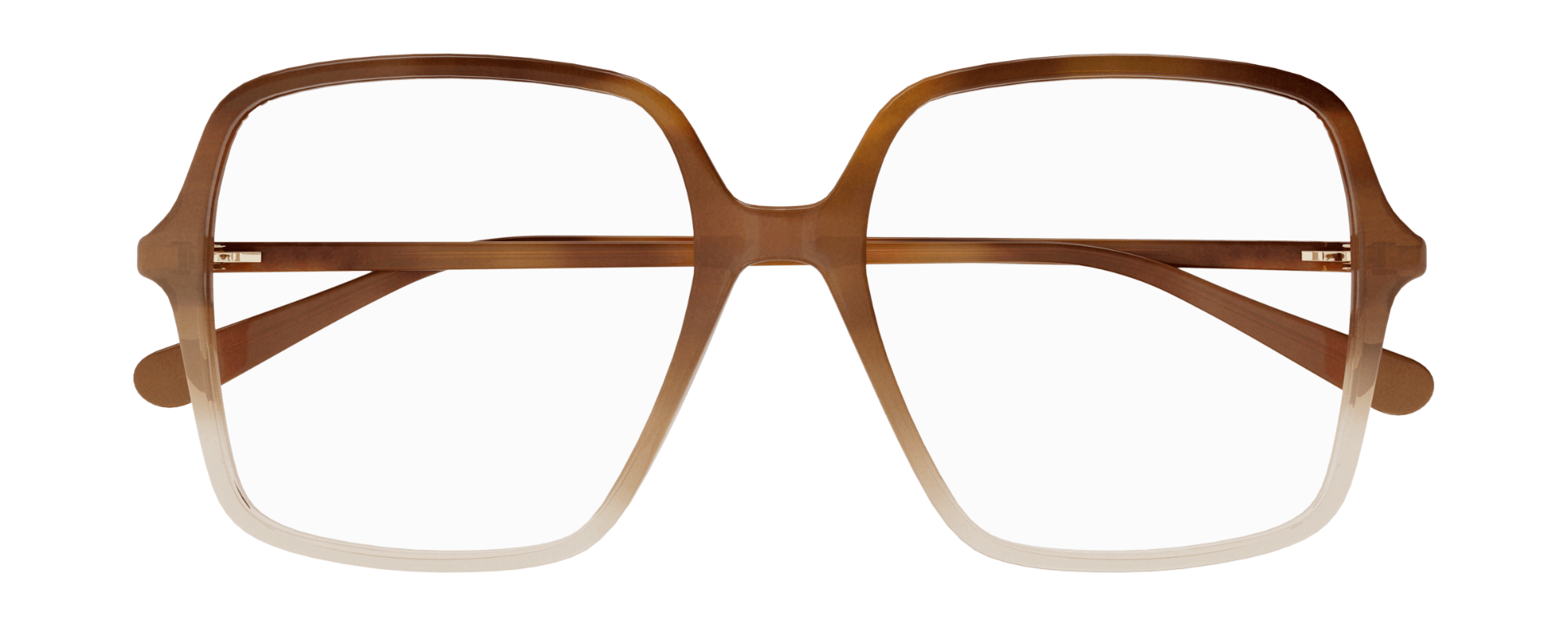 Color_GG1003O-003 - BROWN - TRANSPARENT