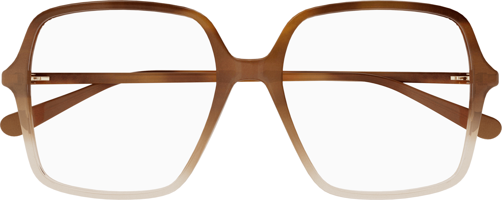 Color_GG1003O-003 - BROWN - TRANSPARENT