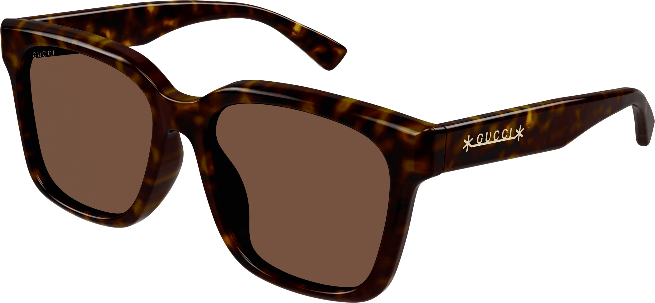 Color_GG1175SK-003 - HAVANA - BROWN