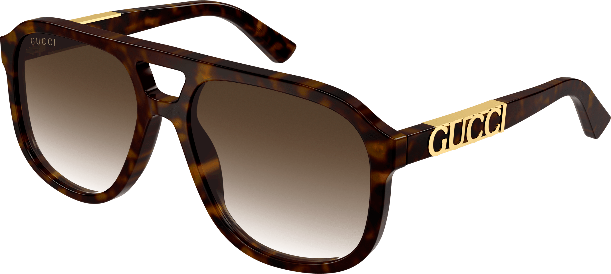 Color_GG1188S-003 - HAVANA - BROWN