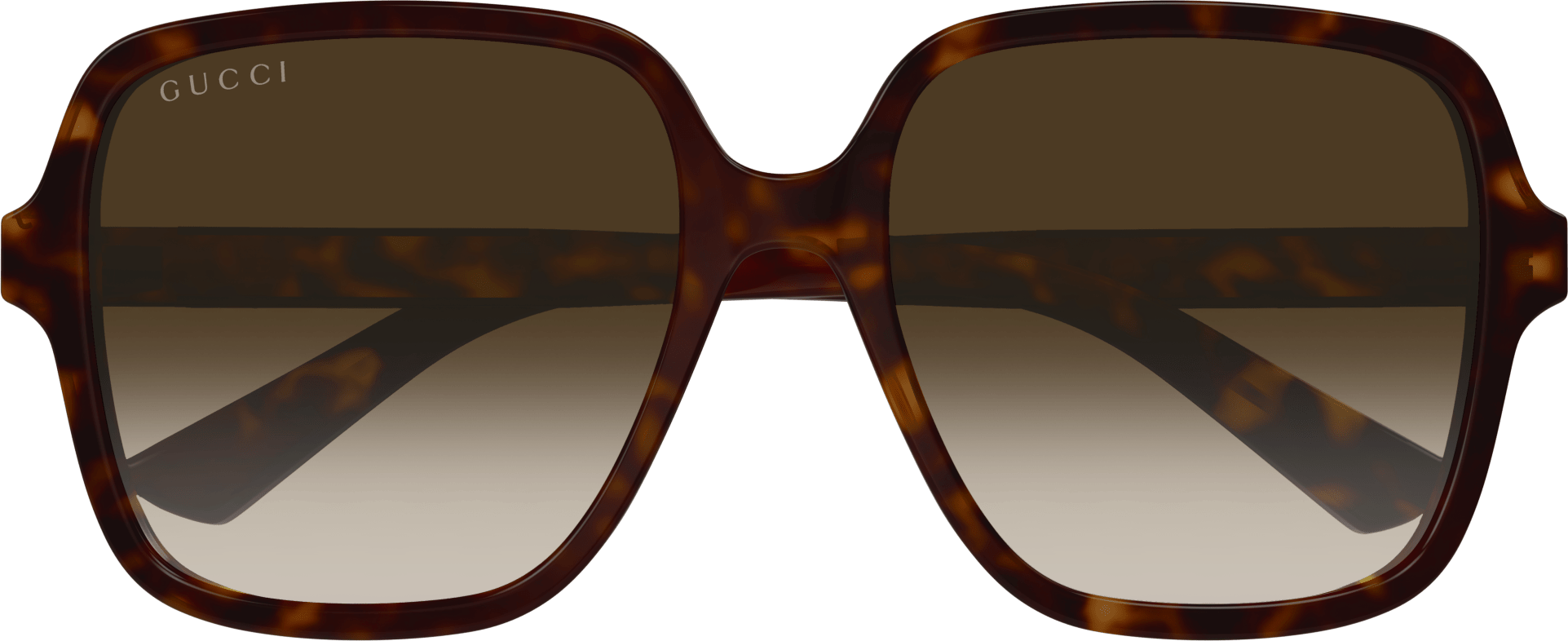 Color_GG1189S-003 - HAVANA - BROWN