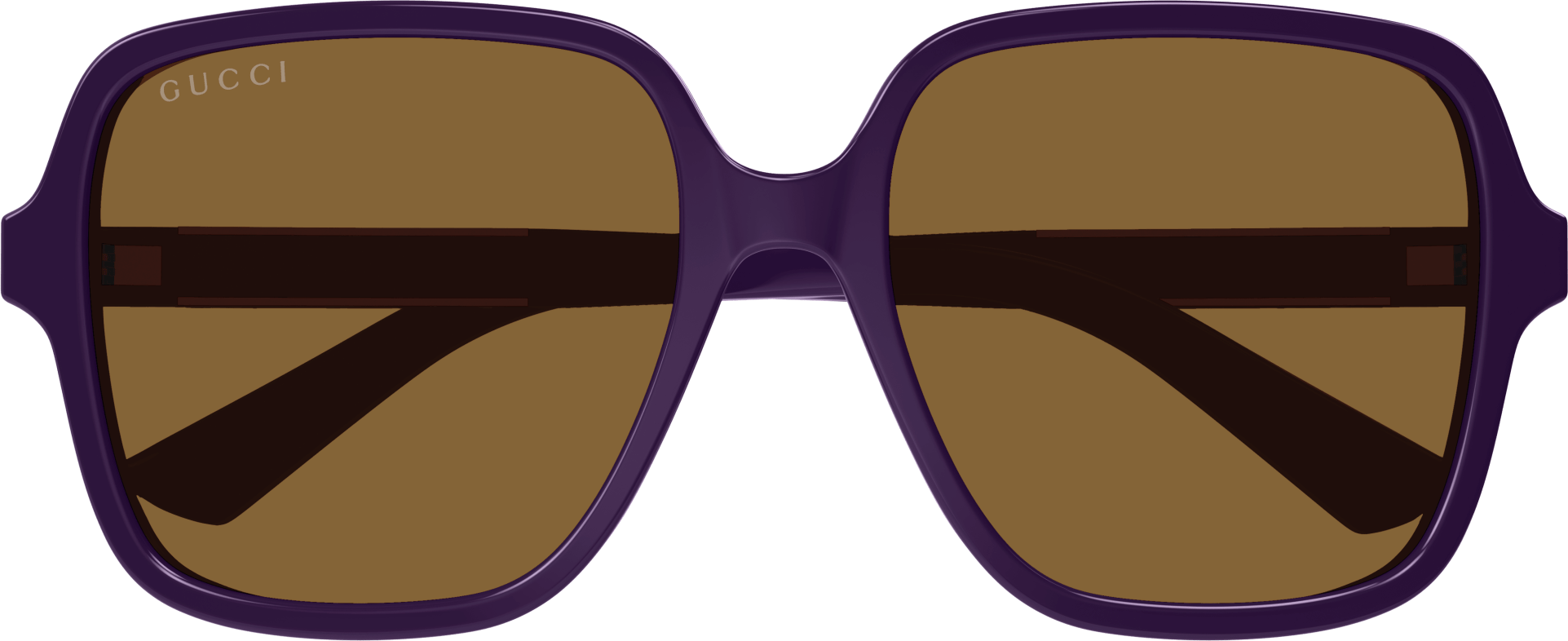 Color_GG1189S-005 - VIOLET - BROWN