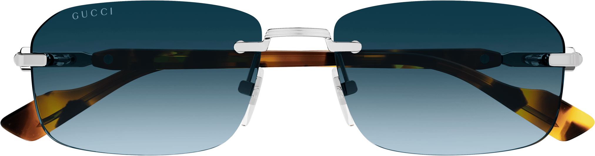 Color_GG1221S-007 - SILVER - BLUE